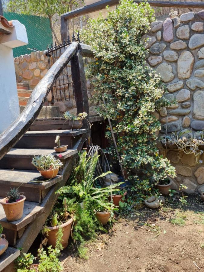 Hostal Las Rosas Сальта Екстер'єр фото